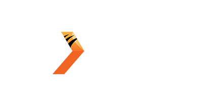 SL-NS1.png