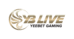 YBL.png